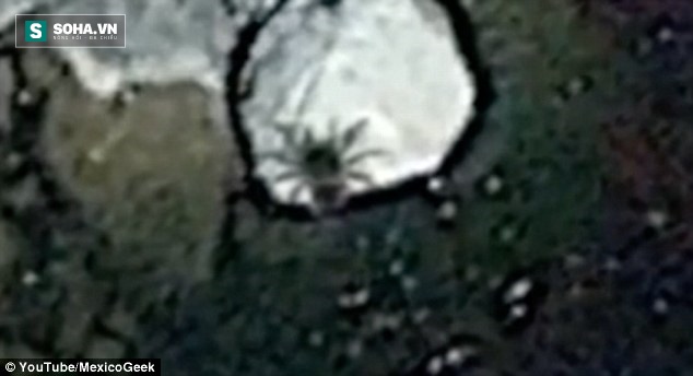 Google Earth phát hiện sinh vật khổng lồ ở ngoài khơi Mexico - Ảnh 2. Google Earth phát hiện sinh vật khổng lồ ở ngoài khơi Mexico - Ảnh 2.
