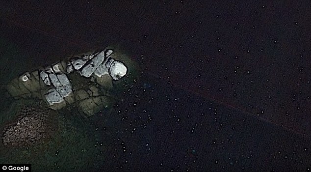 Google Earth phát hiện sinh vật khổng lồ ở ngoài khơi Mexico - Ảnh 3. Google Earth phát hiện sinh vật khổng lồ ở ngoài khơi Mexico - Ảnh 3.