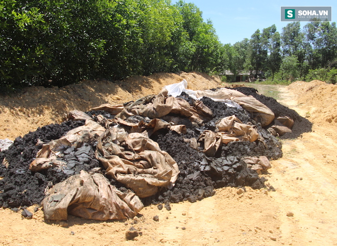GĐ Cty môi trường: Xin 100 tấn chất thải Formosa về... bón cho cây - Ảnh 1.