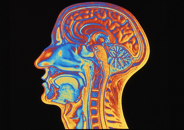 Quên bài test IQ đi, đây mới là phương pháp đo trí thông minh của 1 người - Ảnh 2. Quên bài test IQ đi, đây mới là phương pháp đo trí thông minh của 1 người - Ảnh 2.