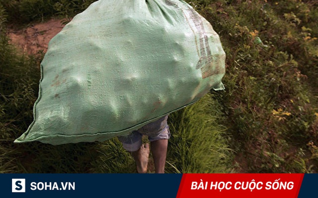 Gửi những người hay thù ghét, oán hận: Bài học thấm thía từ những củ khoai tây thối Gửi những người hay thù ghét, oán hận: Bài học thấm thía từ những củ khoai tây thối