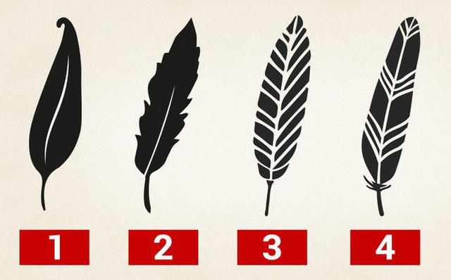 Tố chất lãnh đạo bẩm sinh ẩn tại 1 trong 5 chiếc lông này: Hãy chọn và xem kết quả Tố chất lãnh đạo bẩm sinh ẩn tại 1 trong 5 chiếc lông này: Hãy chọn và xem kết quả