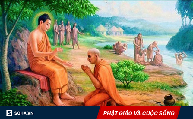 Đức Phật hỏi đệ tử già bao nhiêu tuổi, người này đáp mới lên 5: Sự thật và lý do đáng ngẫm