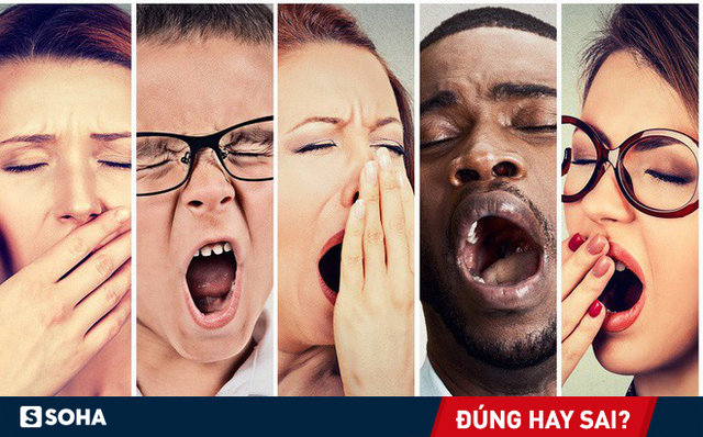 Ngủ 8 tiếng/ngày mới đúng? Con số 'chính xác' này sẽ khiến bạn phải suy nghĩ lại! Ngủ 8 tiếng/ngày mới đúng? Con số 'chính xác' này sẽ khiến bạn phải suy nghĩ lại!