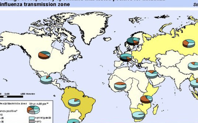 Tình hình cúm mùa đang lưu hành trên thế giới