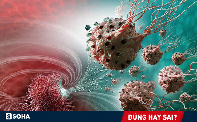 BS Ung bướu tiết lộ sự thật không ngờ về nhịn ăn, kiêng thịt đỏ, ăn gạo lứt trị ung thư BS Ung bướu tiết lộ sự thật không ngờ về nhịn ăn, kiêng thịt đỏ, ăn gạo lứt trị ung thư