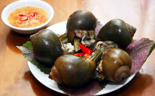 Ốc nhồi - Vị thuốc lợi tiểu, tiêu thũng Ốc nhồi - Vị thuốc lợi tiểu, tiêu thũng