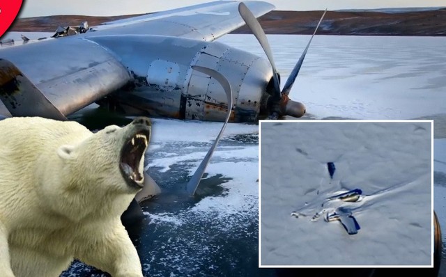 NASA: Máy bay bí ẩn rơi ở Bắc Cực, nhưng “số phận” của người sống sót còn đáng sợ hơn
