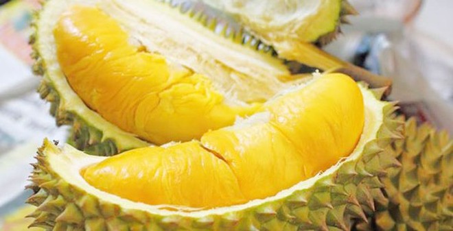 Sầu riêng: Lợi và hại