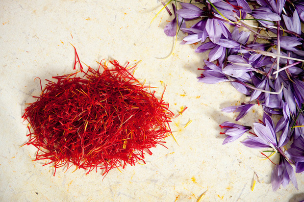 Cận cảnh quá trình thu hoạch saffron - thứ gia vị đắt nhất thế giới được mệnh danh “vàng đỏ“ có giá hàng tỷ đồng/kg, từng được Nữ hoàng Ai Cập dùng để dưỡng nhan - Ảnh 8.