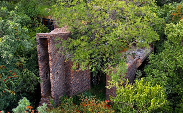Ngôi nhà 'siêu dị' được thiết kế để ẩn mình trong tán cây
