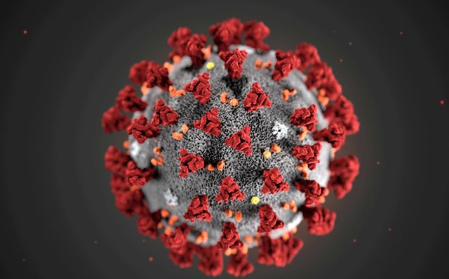 Virus Corona đã gây đại dịch từ cách đây 20.000 năm Virus Corona đã gây đại dịch từ cách đây 20.000 năm