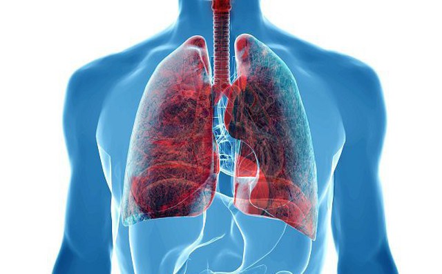 NgÆ°á»i cÃ³ 6 thÃ³i quen nÃ&nbsp;y cÃ³ tá» lá» máº¯c ung thÆ° phá»i ráº¥t cao: HÃ£y xem cÃ³ báº¡n khÃ´ng Äá» trÃ¡nh!