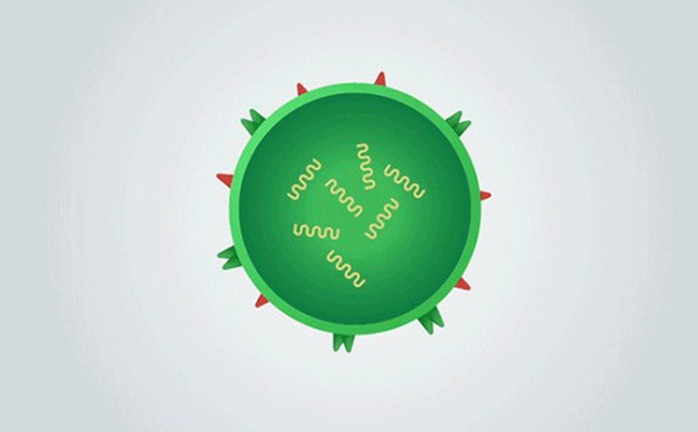 Những sự thật ít người biết về virus: Chúng đến từ đâu, lây lan và gây bệnh như thế nào?