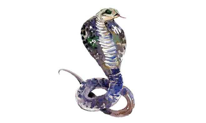 Những con giáp đỏ nhất trong năm Canh Tý 2020: Tiền nong rủng rỉnh, gia đạo hạnh phúc - Ảnh 5. Những con giáp đỏ nhất trong năm Canh Tý 2020: Tiền nong rủng rỉnh, gia đạo hạnh phúc - Ảnh 5.