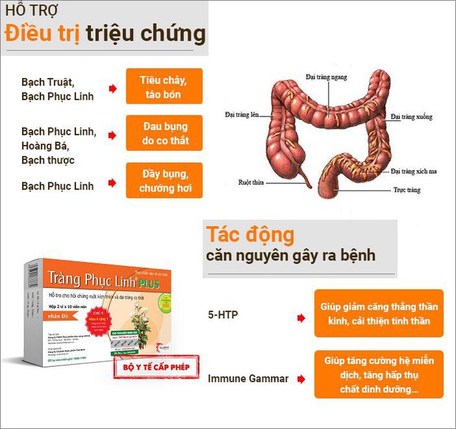 Tràng Phục Linh Plus - Đột phá mới hỗ trợ điều trị viêm đại tràng co thắt của người Việt - Ảnh 4. Tràng Phục Linh Plus - Đột phá mới hỗ trợ điều trị viêm đại tràng co thắt của người Việt - Ảnh 4.