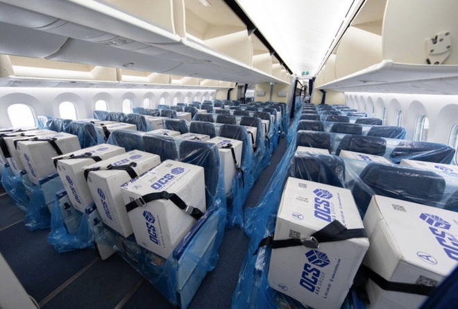 Không có hành khách, hãng hàng không Nhật Bản lấp đầy mọi chỗ ngồi trên máy bay bằng khẩu trang và vật tư y tế - Ảnh 2.