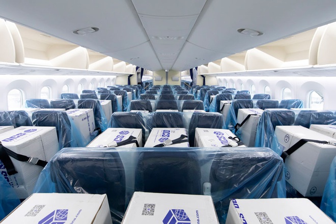 Không có hành khách, hãng hàng không Nhật Bản lấp đầy mọi chỗ ngồi trên máy bay bằng khẩu trang và vật tư y tế - Ảnh 3.