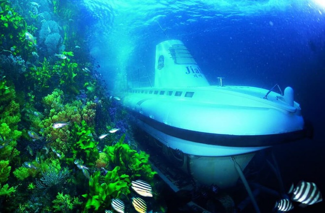 Mua tàu ngầm thám hiểm - Lá bài mới của ông Phạm Nhật Vượng để Vinpearl Nha Trang vượt qua Maldives, Hawaii, Jeju? - Ảnh 2.